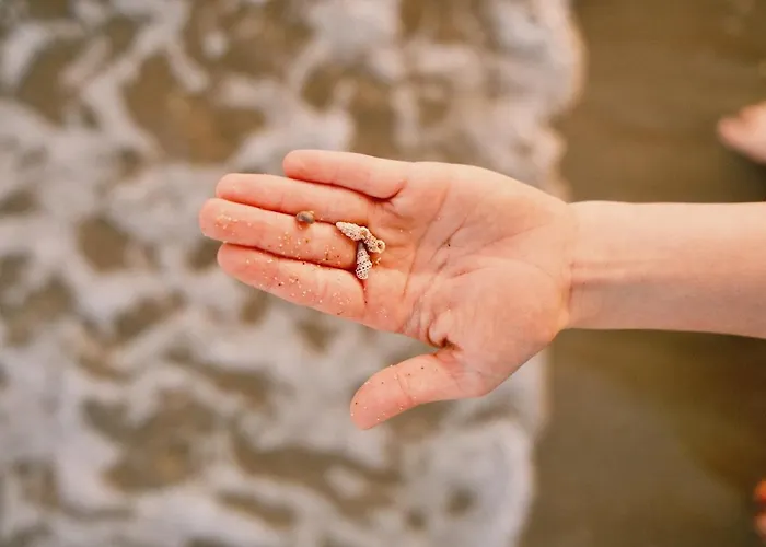 Relaxing Near The Sea Apartamento *