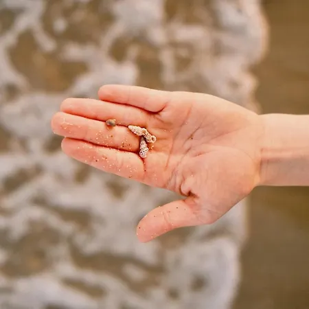 Relaxing Near The Sea Apartament *