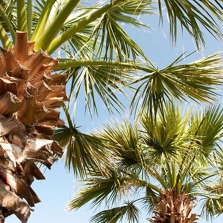 Relaxing Near The Sea *