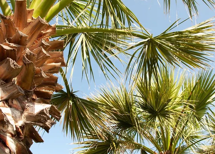 Relaxing Near The Sea *